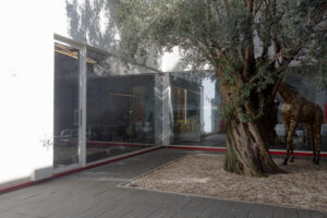 cortile-interno